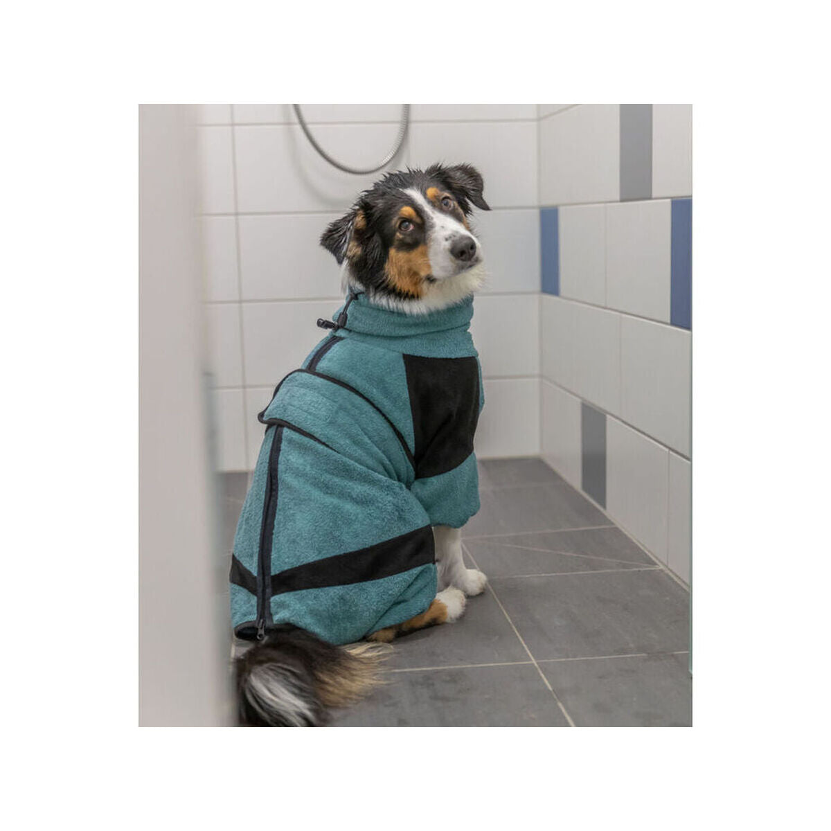Dog bathrobe Trixie Blue M/L-3