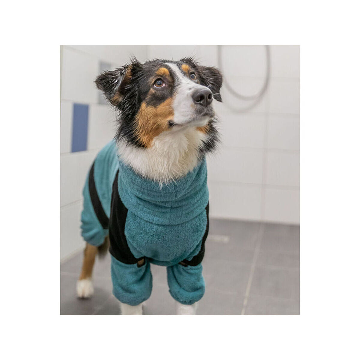 Dog bathrobe Trixie Blue M/L-2