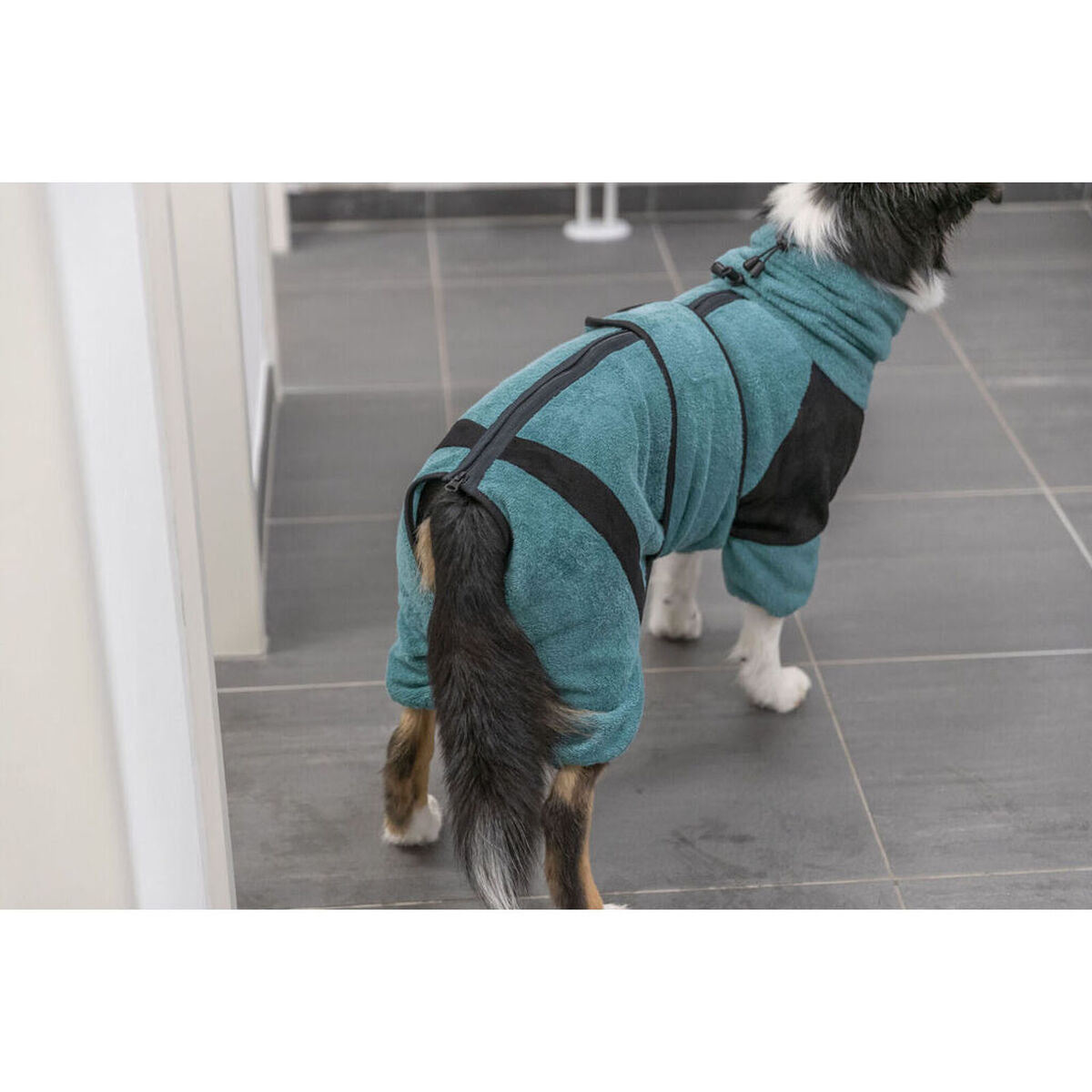 Dog bathrobe Trixie Blue M/L-1