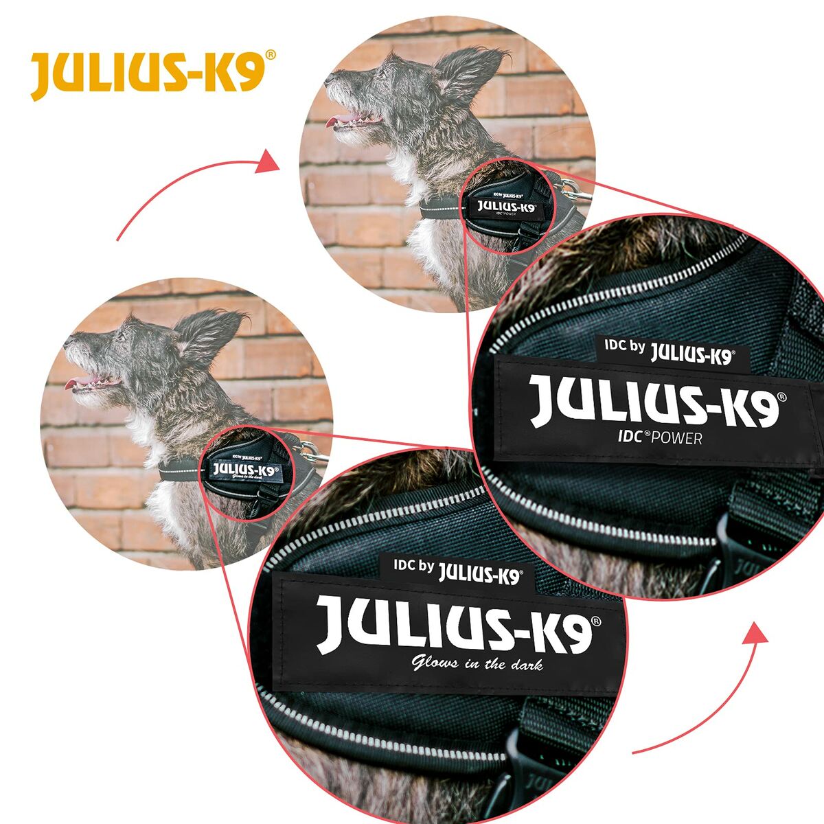 Dog Harness Julius K9 IDC Black M-3