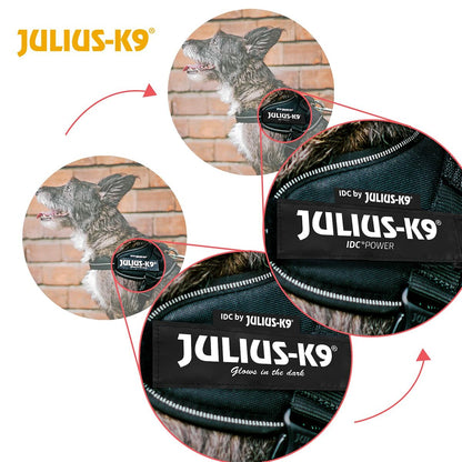 Dog Harness Julius K9 IDC Black M-3
