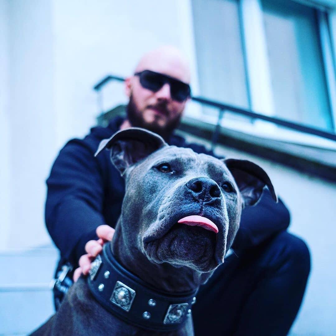 BESTIA COLLARS® All Black Leather Dog Collar Pure Power in Elegant Simplicity